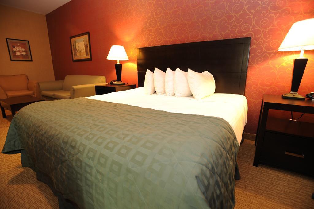 Verve Hotel New York Rum bild