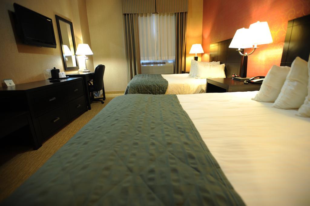 Verve Hotel New York Rum bild