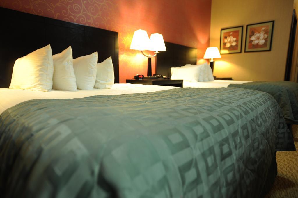 Verve Hotel New York Rum bild